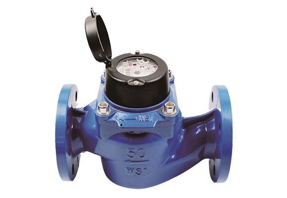 WS Vertical Detachable Woltman Water Meter